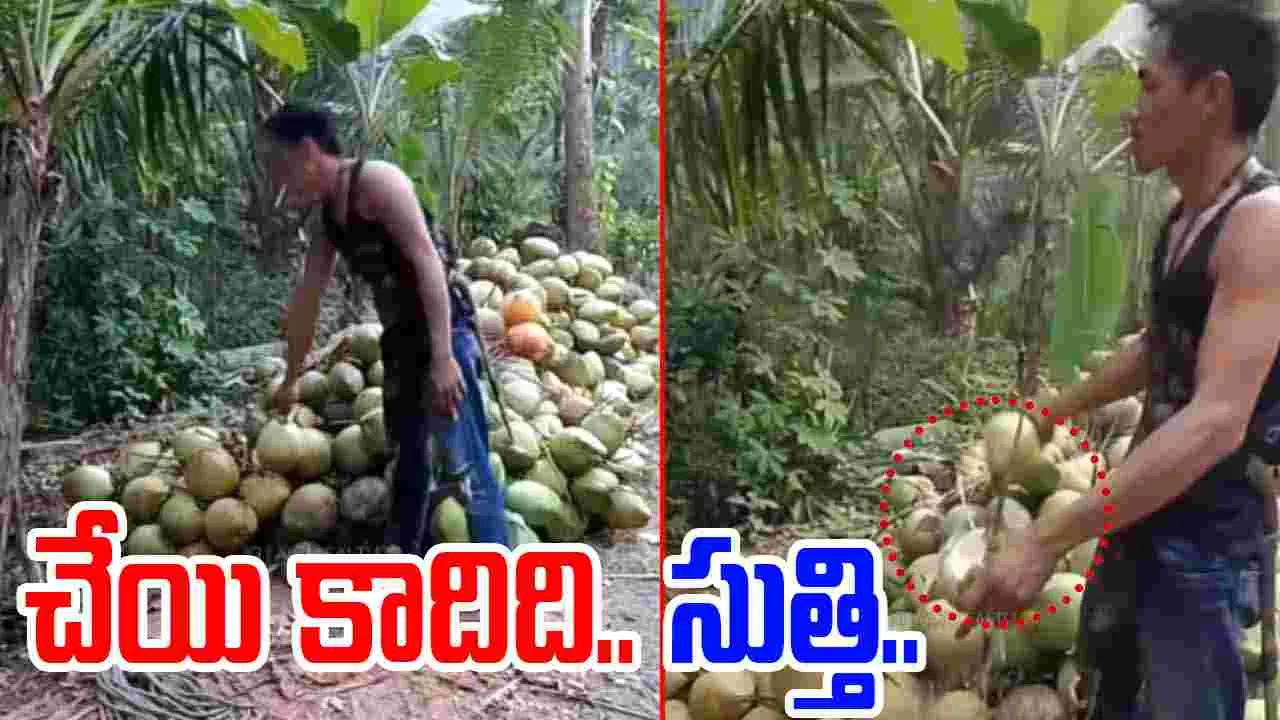Watch Video:  ఏం తింటున్నావురా అయ్యా.. పచ్చి కొబ్బరికాయను ఎలా పగులగొట్టాడో చూస్తే.. 