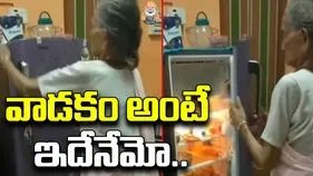 Old Woman Funny Video: ఆహా.. అవ్వా..! నీ తెలివికి జోహార్లు.. ఫ్రిడ్జ్‌ను ఎలా వాడిందో చూడండి..