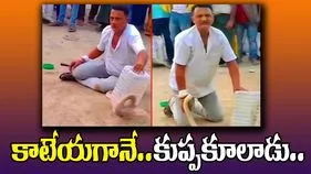 Cobra Viral Video: కోబ్రా విషం ఎంత డేంజరో తెలుసా.. కాటేయగానే ఏం జరిగిందో చూడండి..