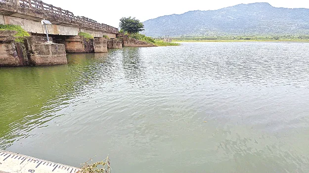   Turns Lush Green! శివారుకు అందితే సస్యశ్యామలమే!