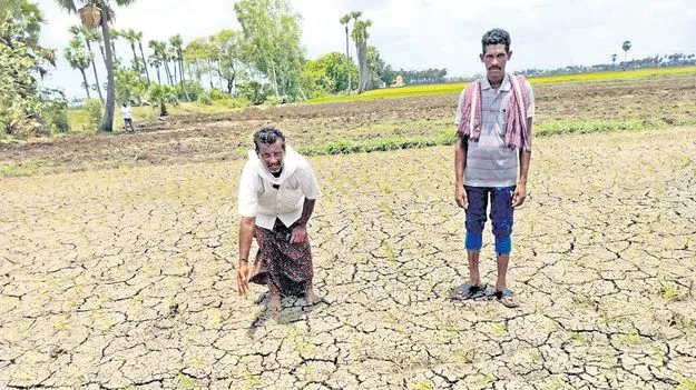 Andhra Pradesh Farmers: చినుకు లేక చింత