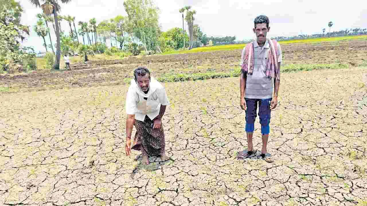 Andhra Pradesh Farmers: చినుకు లేక చింత