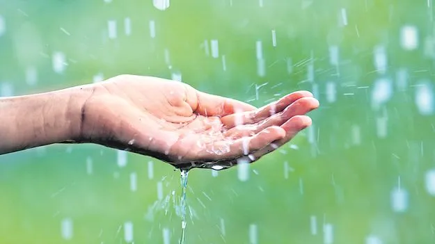 వానోకాలం!