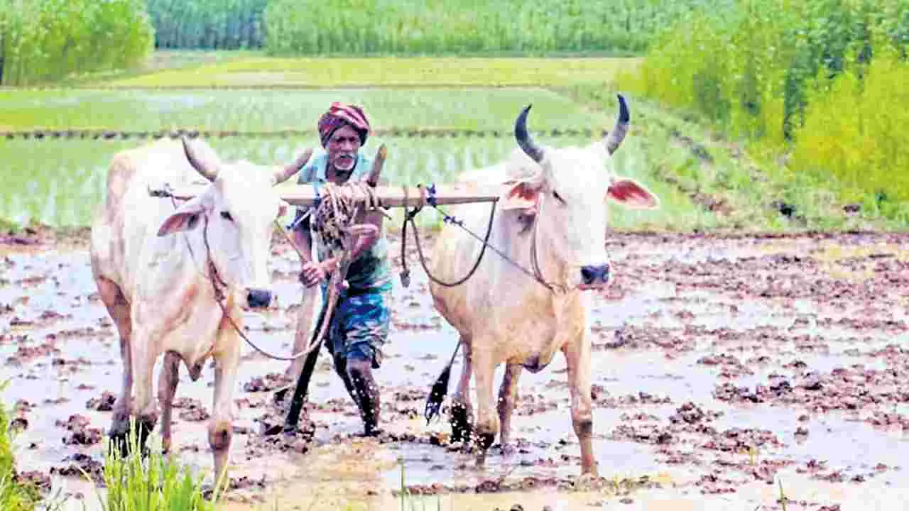PM Kisan: అన్నదాత కు అంతా సిద్ధం