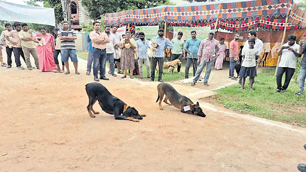 యానాంలో యానిమల్స్‌ షో