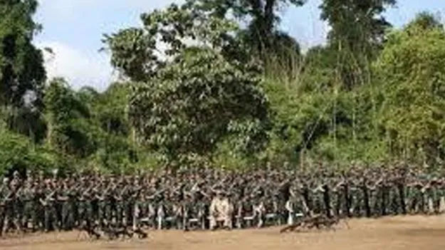 Military Operation: ఉల్ఫాపై భారత్ సర్జికల్ స్ట్రైక్స్