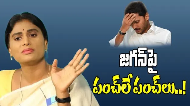 YS Sharmila: జగన్ బలప్రదర్శనలకు ముగ్గురు బలి.. షర్మిల ఫైర్