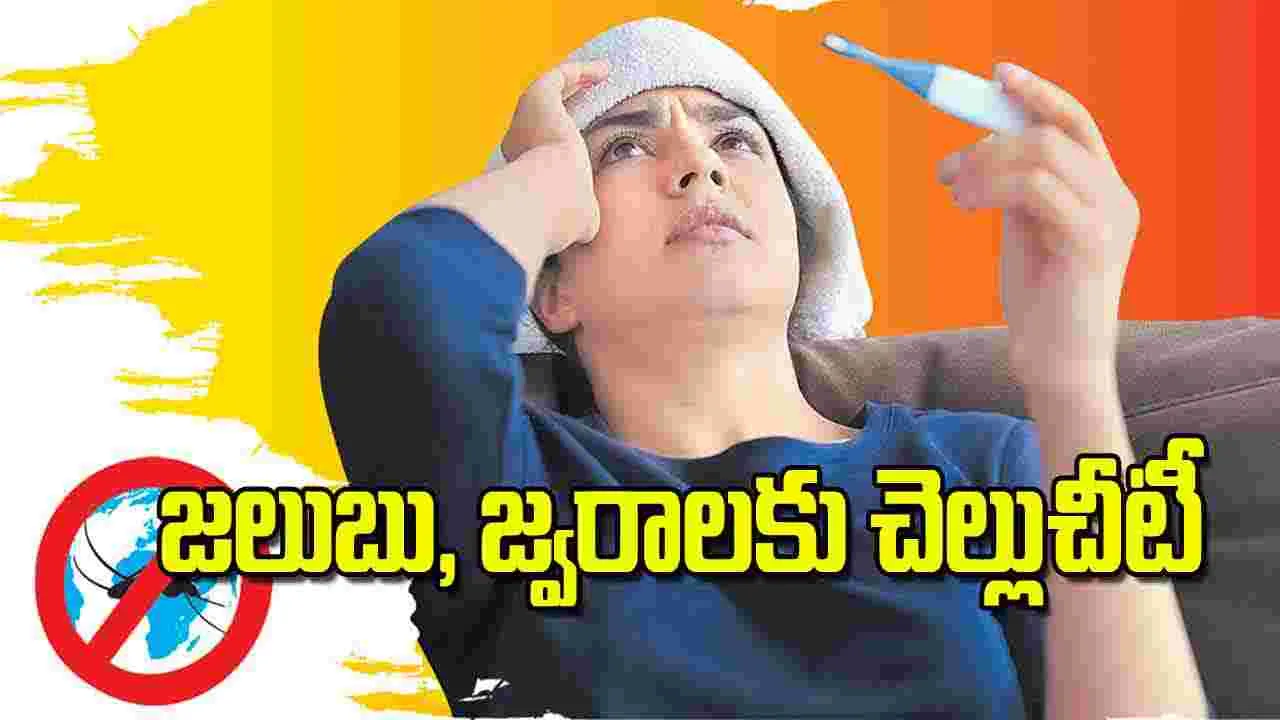 Ayurvedic Remedies: జలుబు జ్వరాలకు చెల్లుచీటీ