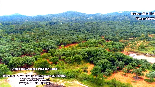 ఈ రైతుల రాత మారదా?