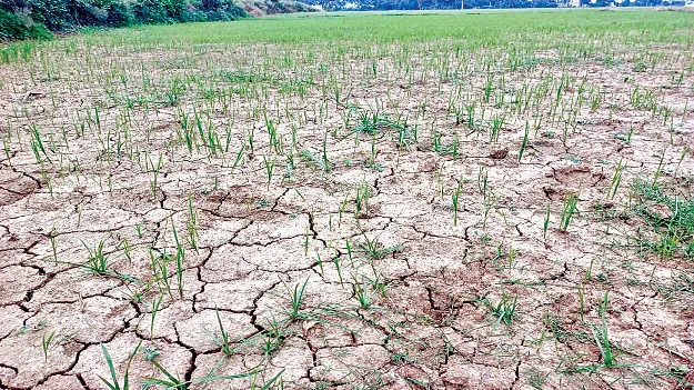  ఆదిలోనే సాగునీటి కష్టాలు