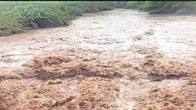 Rain : దంచికొట్టిన వాన