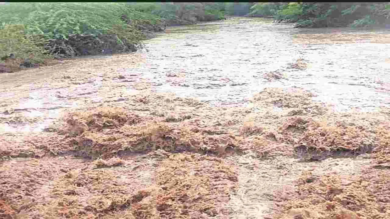Rain : దంచికొట్టిన వాన