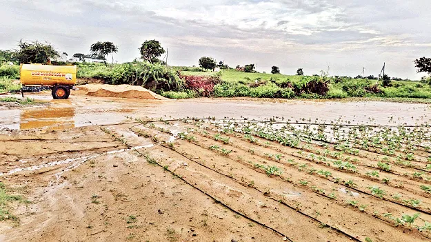  నీట మునిగిన పంటలు