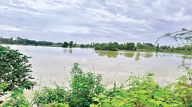 Will there be a beautiful ‘compassion’? సుందరీ‘కరుణ’ ఉంటుందా?