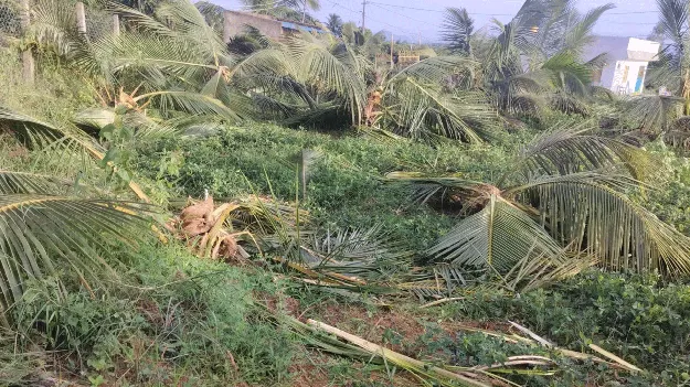 పంటలపై ఆగని గజదాడులు