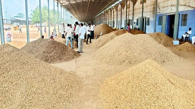 వేరుశనగ క్వింటం రూ.6,988