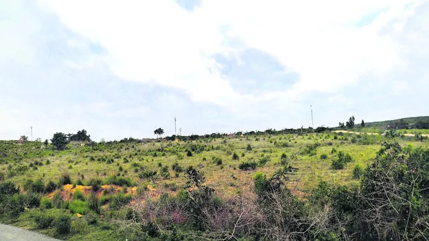 Land : భూచోళ్లు..!