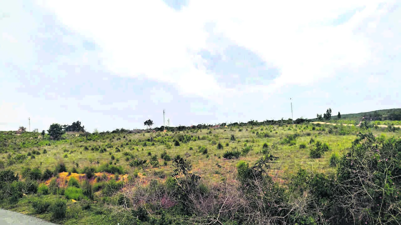 Land : భూచోళ్లు..!