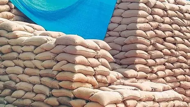 Task Force Raid: రూ.7.10 కోట్ల సీఎంఆర్‌ ధాన్యం మాయం 