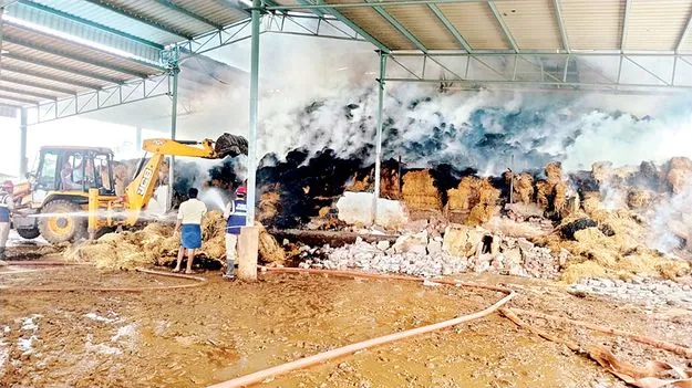    శ్రీమఠం గోశాల గోడౌనలో అగ్నిప్రమాదం