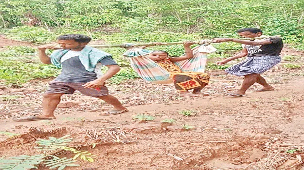 travelling with dooly is very difficult డోలీ కష్టాలు తప్పేనా?