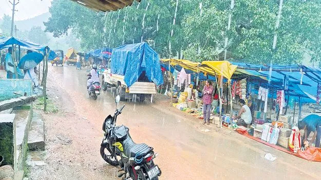 మన్యంలో విభిన్న వాతావరణం 