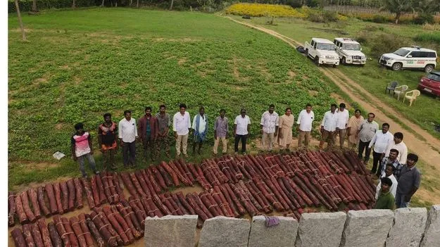 ఎర్రచందనం స్టాక్‌ పాయింట్‌గా బైరెడ్డిపల్లె!