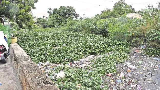 Rain : వరదొస్తే.. వాకిట్లోకే..!