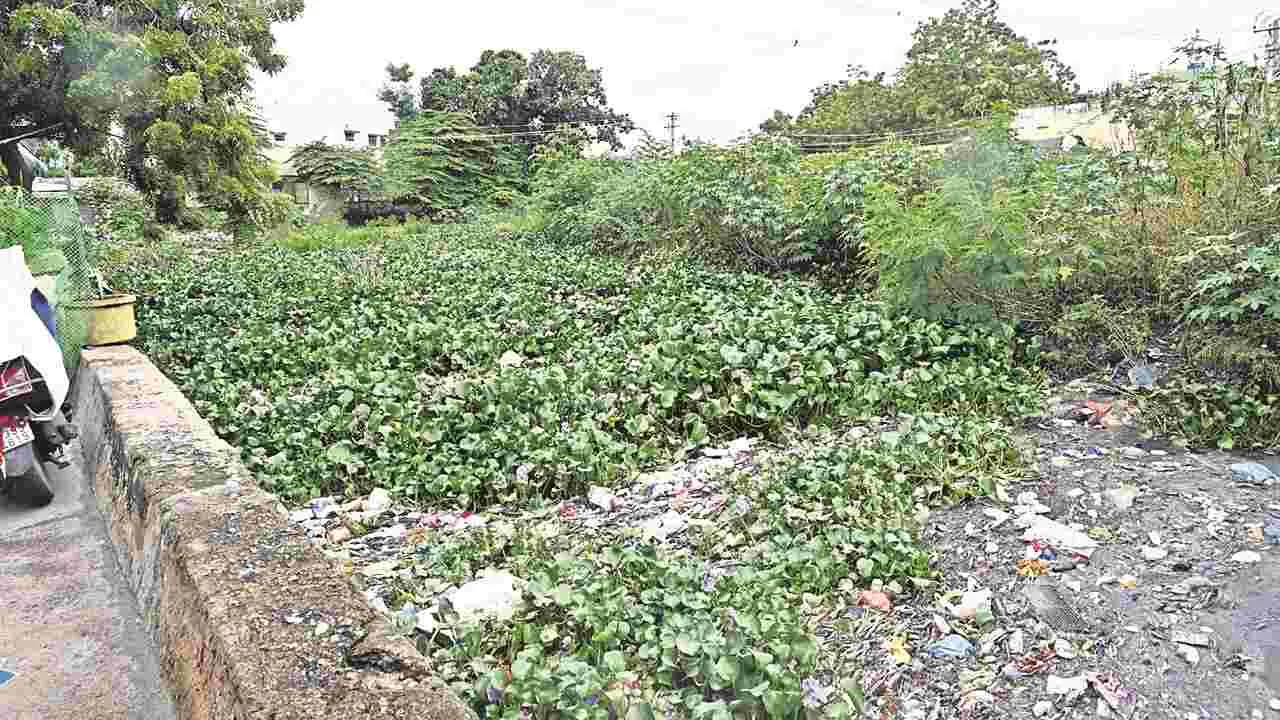 Rain : వరదొస్తే.. వాకిట్లోకే..!