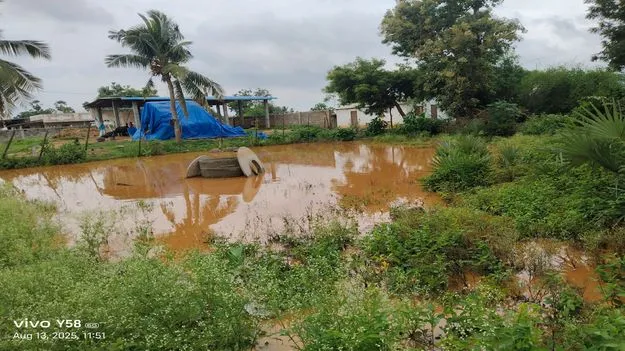 తండాల్లో జ్వరాలు