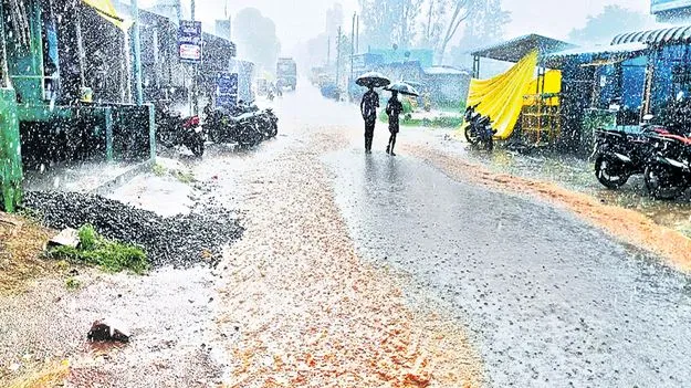 వీడని వాన