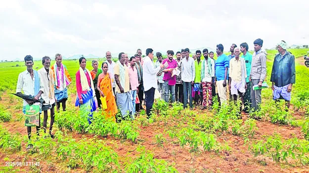 CROPS INSPECTING: పొలాలను పరిశీలించిన రెవెన్యూ అధికారులు