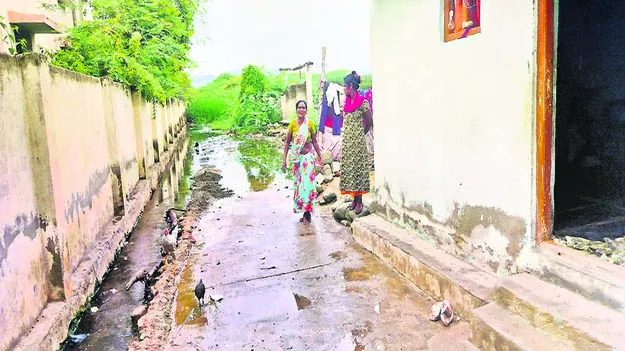 UNSANITARY: అపరిశుభ్రంగా కాలనీలు