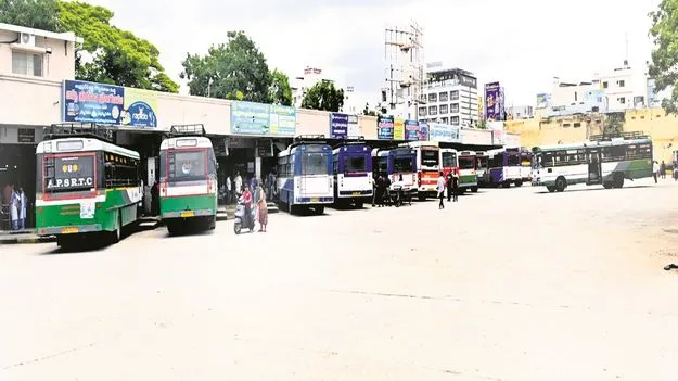 Free Bus : రైట్‌.. రైట్‌..