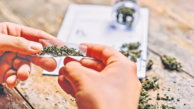 Medical Students: గంజాయి మత్తులో మెడికోలు