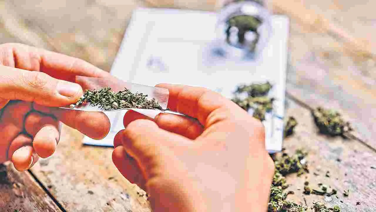 Medical Students: గంజాయి మత్తులో మెడికోలు