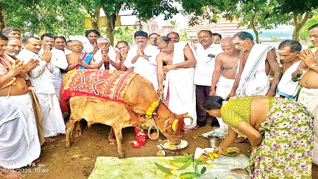 శ్రీముఖలింగంలో గోపూజ