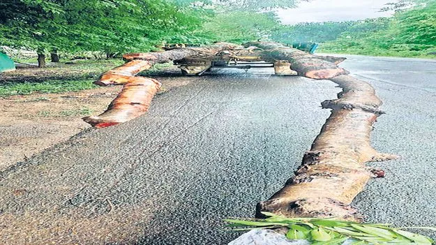 రంపచోడవరం టు నర్సీపట్నం