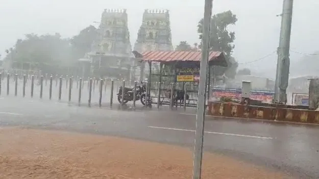 జిల్లాలో వర్షం జోరు