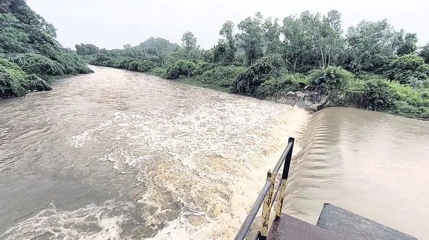 పరవళ్లు తొక్కుతున్న నదులు