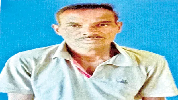  గడ్డి కోతకు వెళ్లి.. విగత జీవిగా మారి