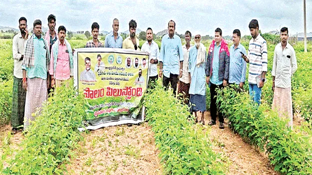 సస్యరక్షణతో పంటలను కాపాడుకోండి