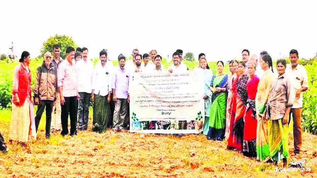 SILK: పట్టుతో రైతు ఆదాయం పెంచుదాం 