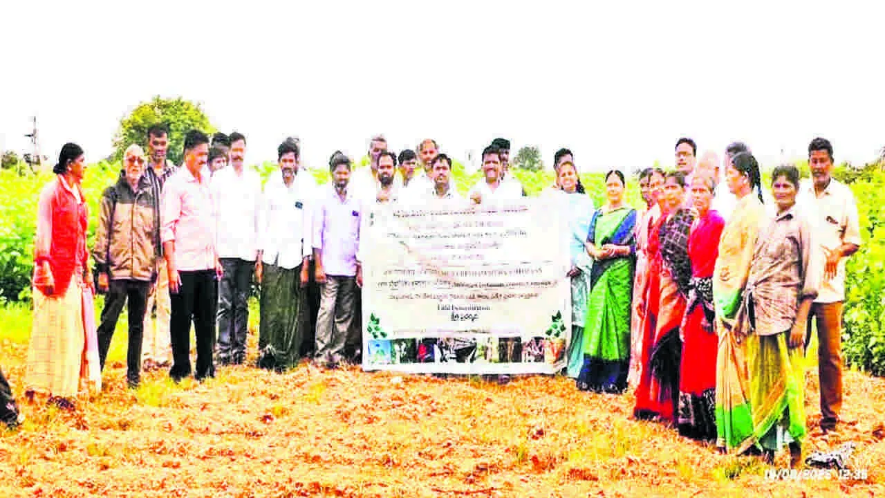 SILK: పట్టుతో రైతు ఆదాయం పెంచుదాం 