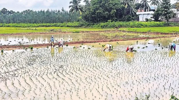 ఖరీఫ్‌నకు ఊపిరి