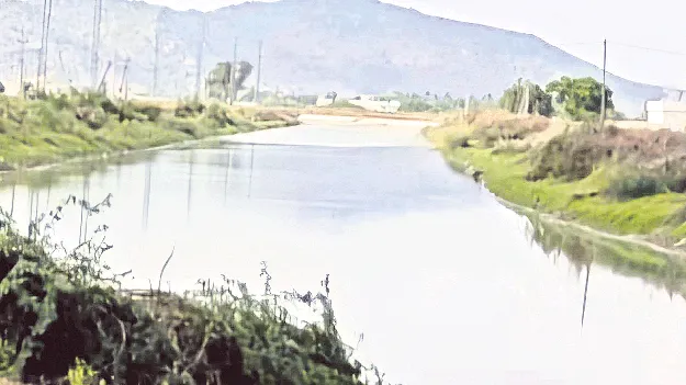 అస్తవ్యస్తంగా సాగునీటి పంపిణీ