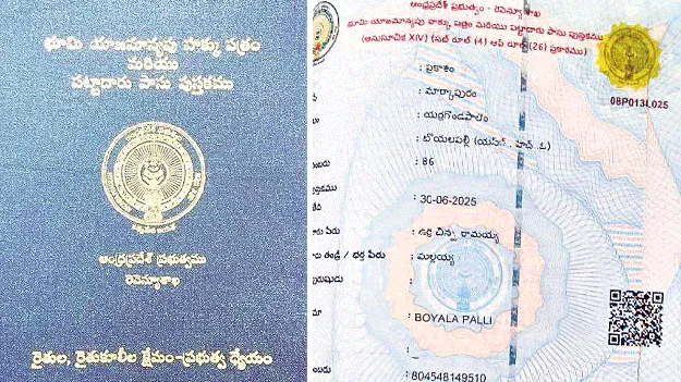 1484 పాస్‌ పుస్తకాలు