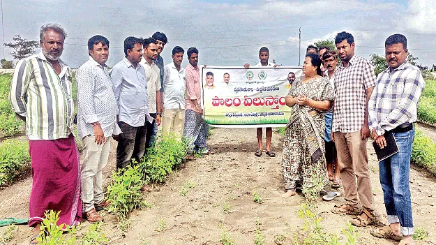 రైతులు పంటలను కాపాడుకోవాలి