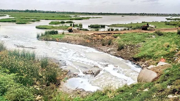 కార్పొరేషన్‌పై ఎన్‌జీటీ ఆగ్రహం..!