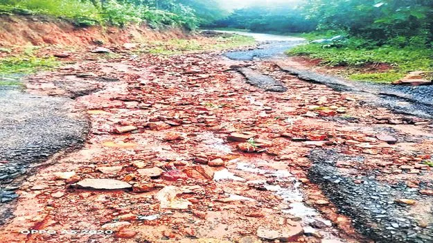 ప్రాణాలు నిలుపుకునే దారేదీ?